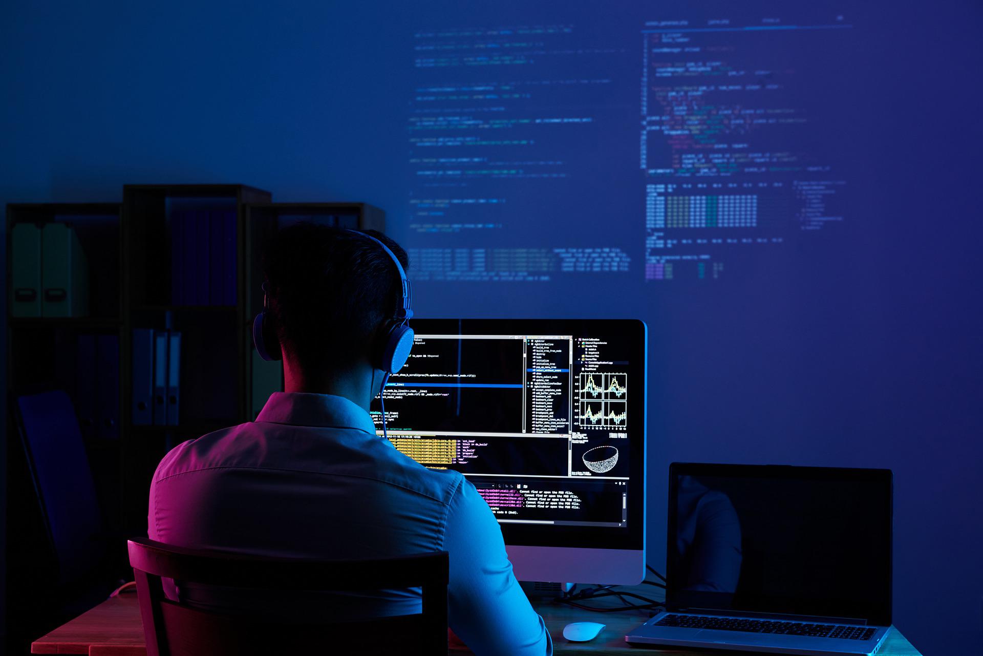Programista